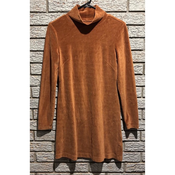 Everlane Dresses & Skirts - Everlane Rust Brown Velour Turtleneck Long Sleeve Mini Dress Small
